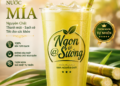 Công Dụng Của Nước Mía – Thức Uống Tự Nhiên Giải Nhiệt Và Bổ Sung Năng Lượng