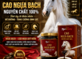 Cao Ngựa Nguyên Chất – Hiểu Đúng Giá Trị, Dùng Đúng Cách